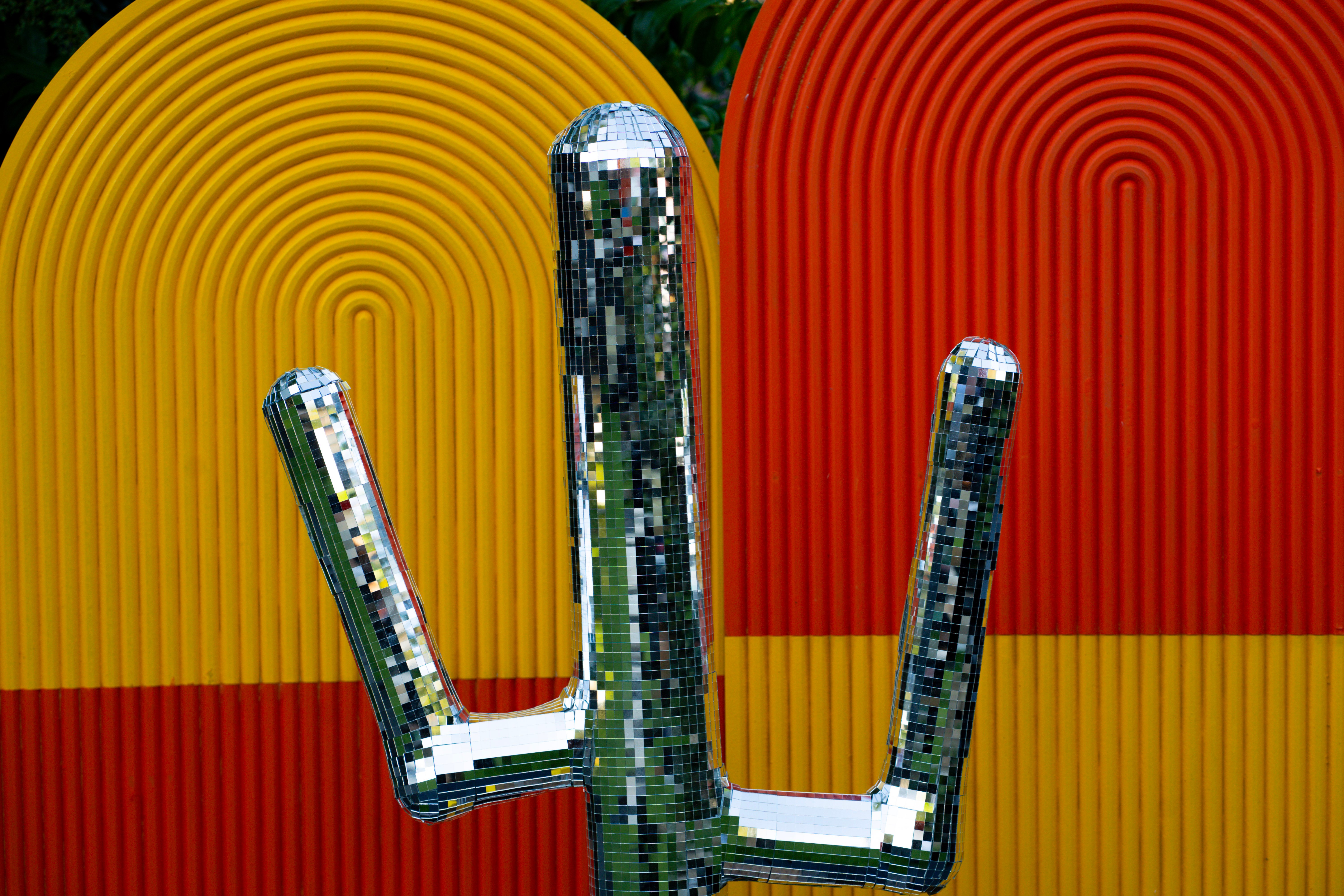 9-DSC02528