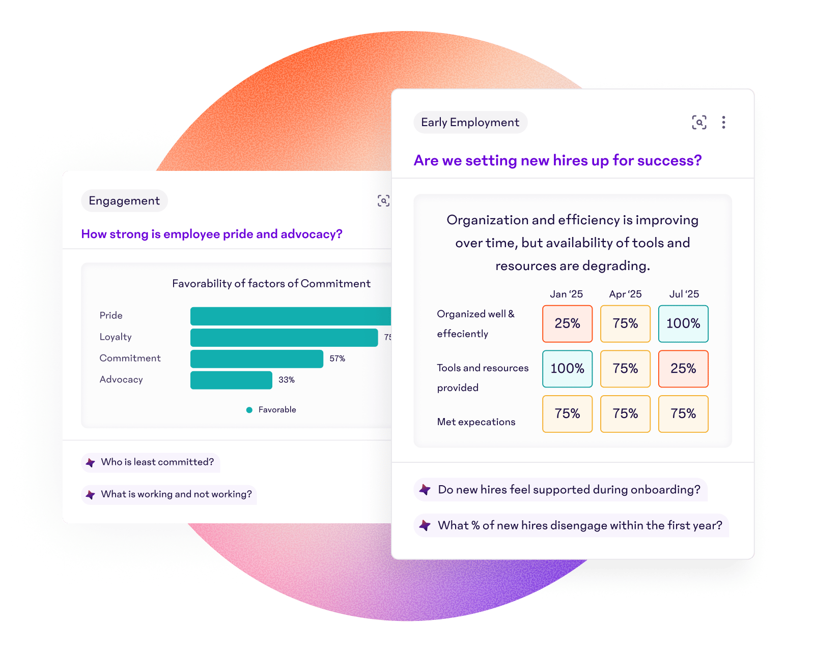 full_platform_insights_2_3x